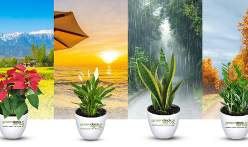 Tropical Plant Rentals
